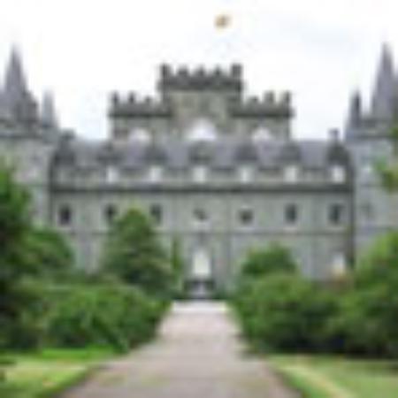 Carnaby Street Fish and Chips